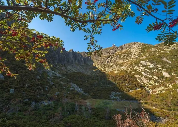 Апартаменты Sloneczne Centrum *