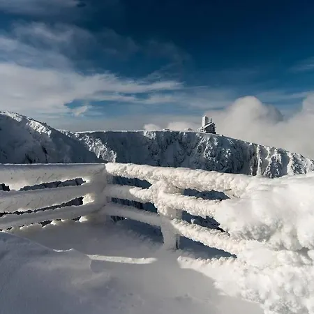 Sloneczne Centrum Appartement *