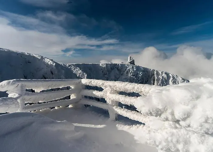 Sloneczne Centrum Apartmán *